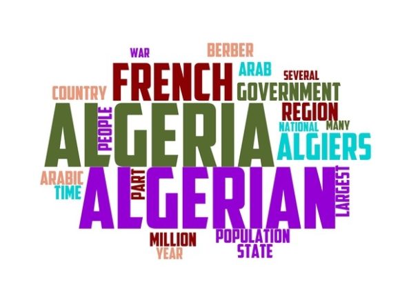 Algebra Typography Tumbler: Where Mathematical Precision Meets Expressive Design