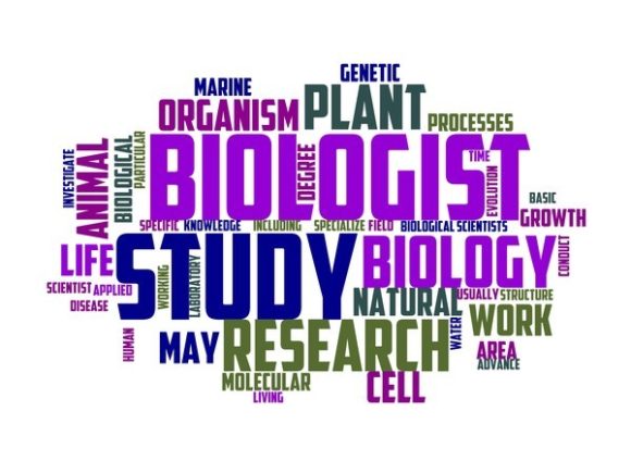 Biologist Typography Wallpaper: Inspire Science-Led Creativity in Everyday Design