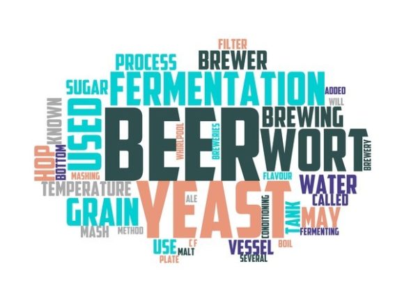 Brewer Typography Print: A Hand-Drawn Word Cloud for Meaningful Design